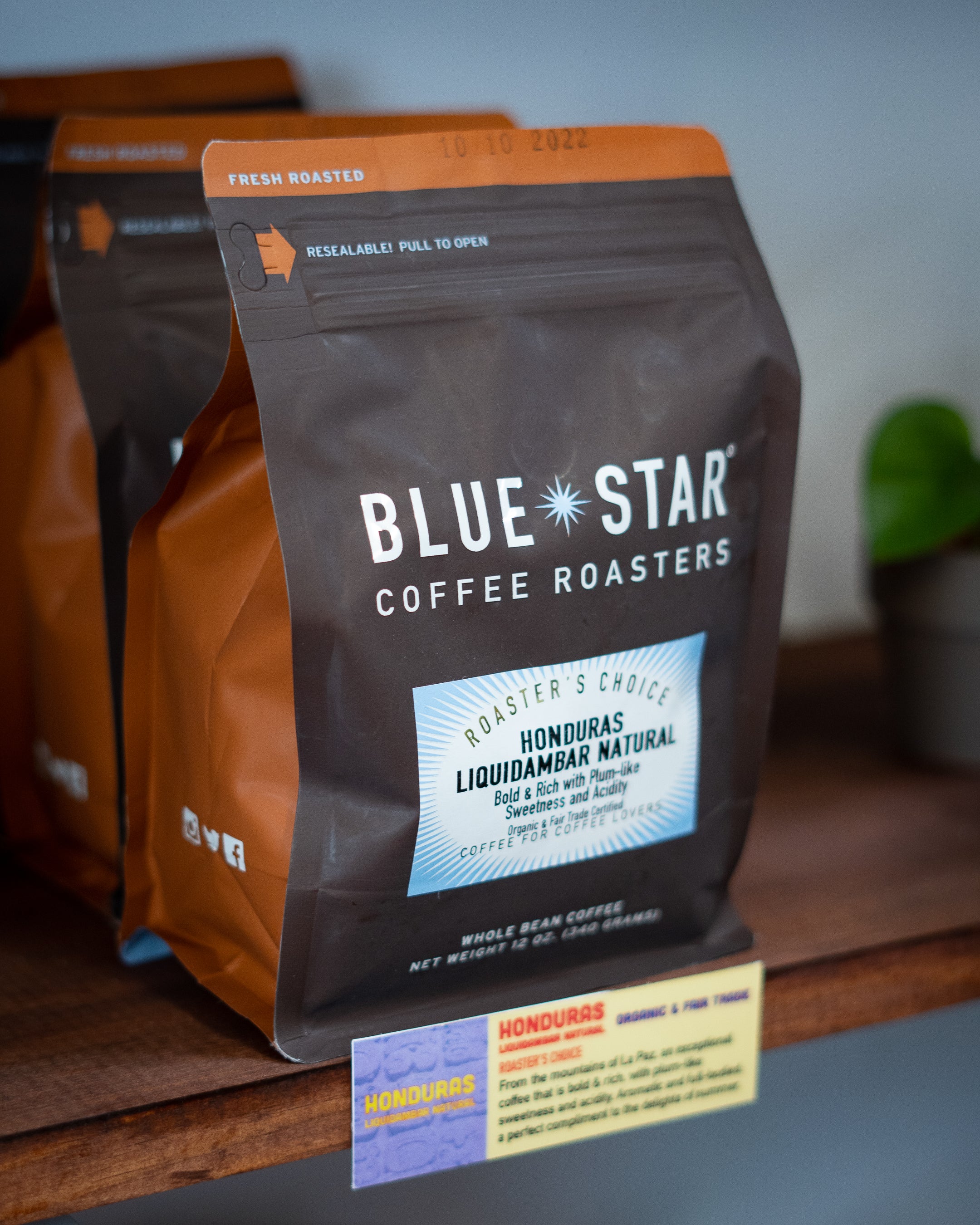 Blue Star Coffee Roasters - Roaster's Choice: Celebration Blend