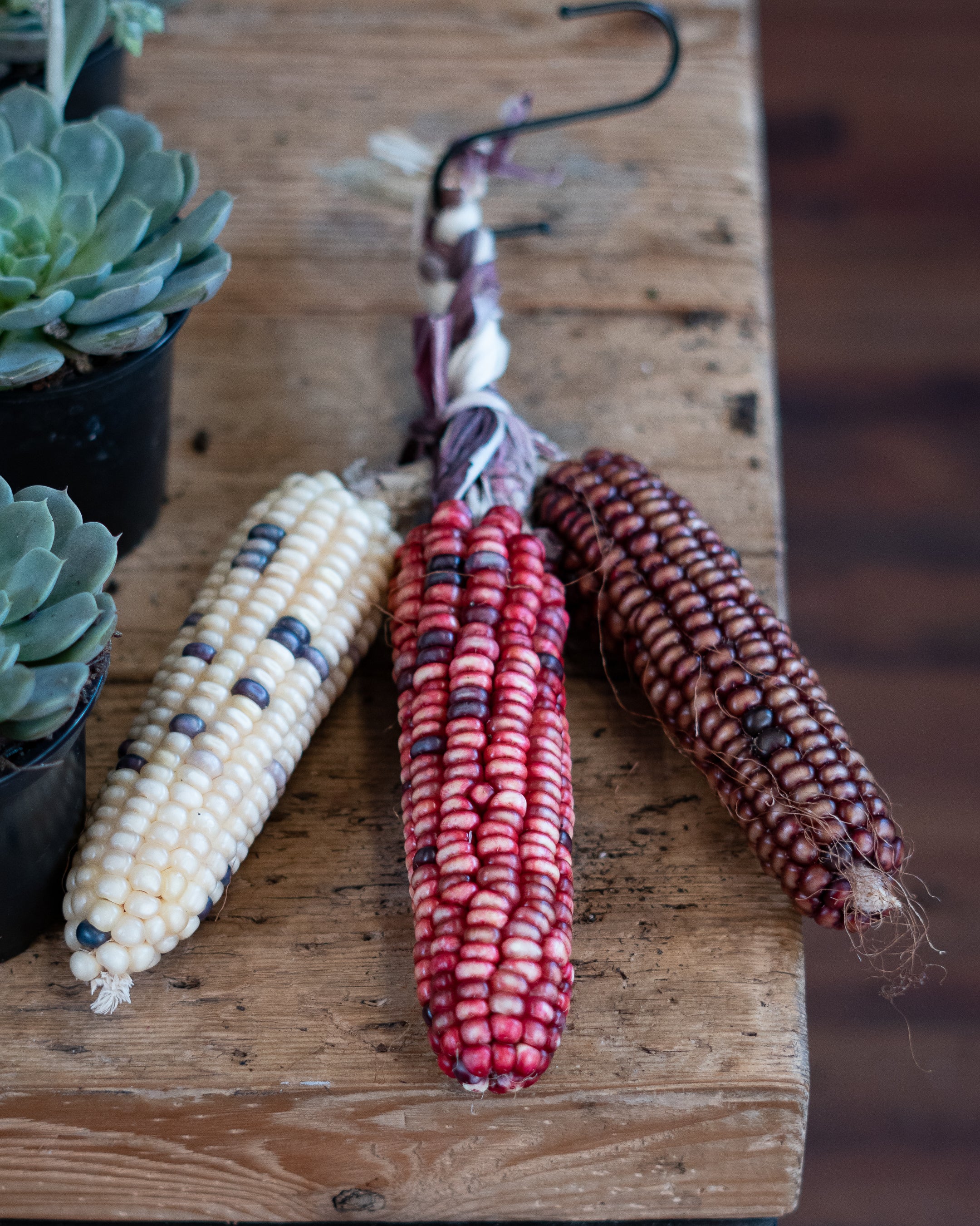 Don Luis' Organic Non-GMO Heirloom Mexican Corn